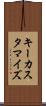 キーカスタマイズ Scroll