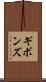 ギボンズ Scroll