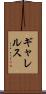 ギャレルス Scroll