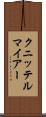 クニッテルマイアー Scroll
