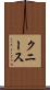 クニース Scroll
