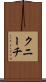 クニーチ Scroll