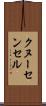 クヌーセンセル Scroll