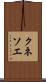 クネソエ Scroll
