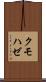 クモハゼ Scroll