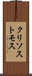 クリソストモス Scroll
