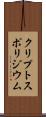 クリプトスポリジウム Scroll