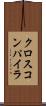クロス・コンパイラ Scroll