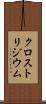 クロストリジウム Scroll
