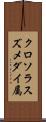 クロソラスズメダイ属 Scroll
