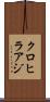 クロヒラアジ Scroll