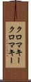 クロマキー Scroll