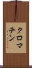 クロマチン Scroll