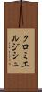 クロミエルジシュ Scroll