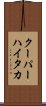 クーパーハイタカ Scroll