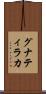 グナティラカ Scroll