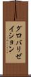 グロバリゼイション Scroll