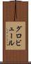 グロビュール Scroll