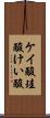 ケイ酸 Scroll