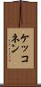 ケッコネン Scroll