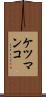ケツマンコ Scroll