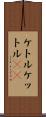 ケトル Scroll