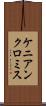 ケニアンクロミス Scroll