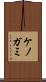 ケノガミ Scroll