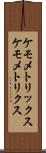 ケモメトリックス Scroll