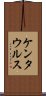 ケンタウルス Scroll