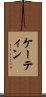 ケーティン Scroll