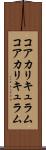 コアカリキュラム Scroll