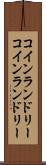 コインランドリー Scroll