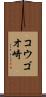 コウゴオ崎 Scroll