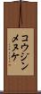 コウジンメヌケ Scroll