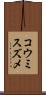 コウミスズメ Scroll
