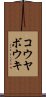 コウヤボウキ Scroll