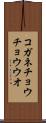 コガネチョウチョウウオ Scroll