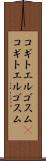 コギトエルゴスム(P) Scroll