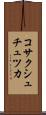コサクシュチュツカ Scroll