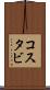 コスタビ Scroll