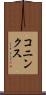 コニンクス Scroll