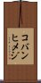 コバンヒメジ Scroll