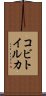 コビトイルカ Scroll