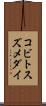 コビトスズメダイ Scroll