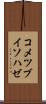コメツブイソハゼ Scroll