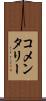 コメンタリー Scroll