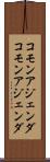 コモンアジェンダ Scroll
