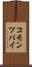 コモン・ツパイ Scroll