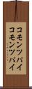 コモンツパイ Scroll